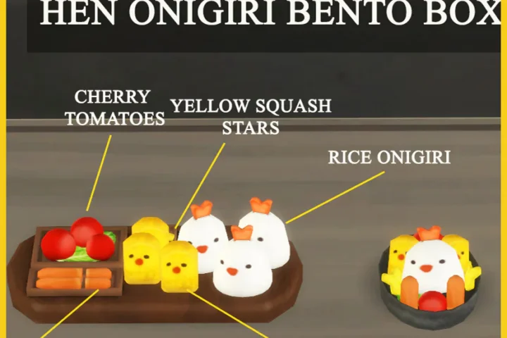 HEN ONIGIRI BENTO BOX