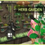 Functional Herb Garden