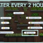 Functional Herb Garden