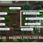 Functional Herb Garden