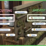 Functional Herb Garden