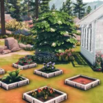 Greenhouse & Garden
