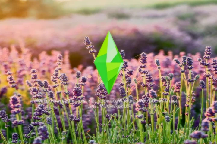 Lavender Fields Forever - A Custom Loading Screen