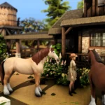 Small Ranch