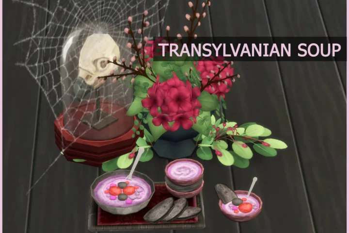 Transylvanian Soup – Vampire