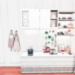 Chef's Dream Kitchen