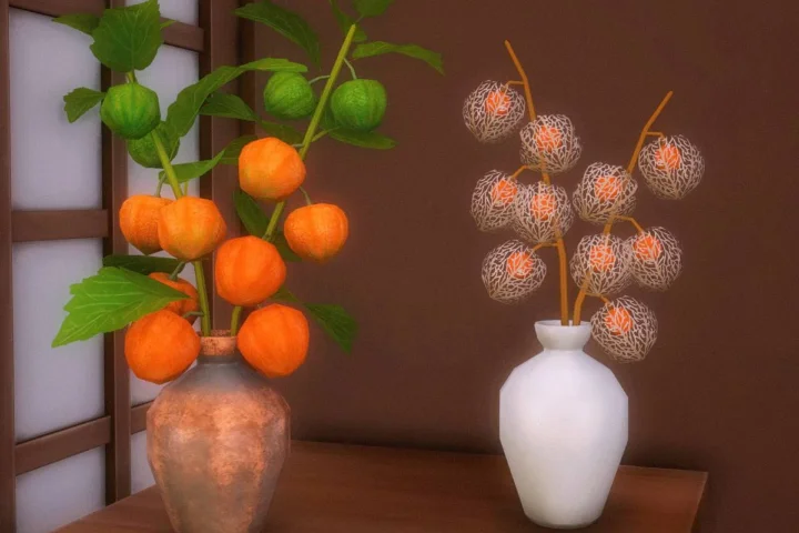 Lantern Plant Decors