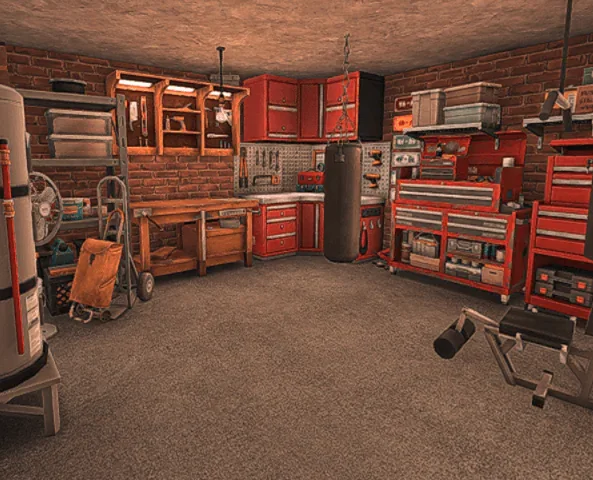 Garage Man Cave / Garage Gym