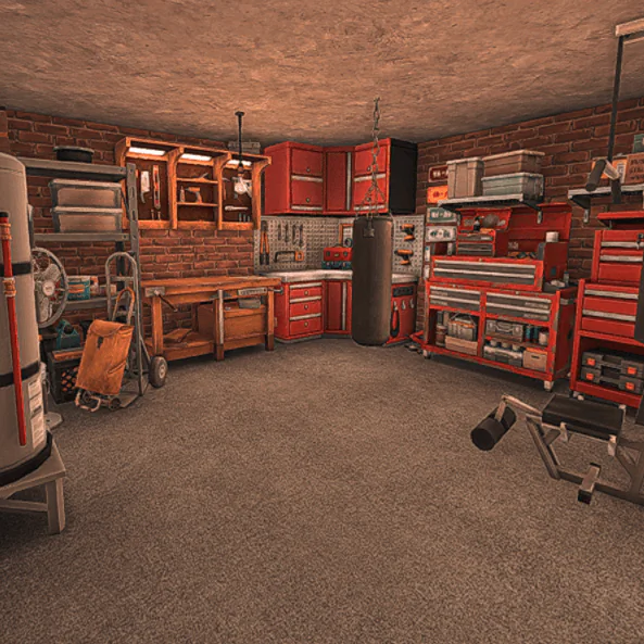 Garage Man Cave / Garage Gym