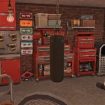 Garage Man Cave / Garage Gym