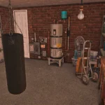Garage Man Cave / Garage Gym