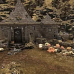 Hagrids Hut - Harry Potter NO CC