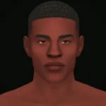 Copenhagen Skin Overlay