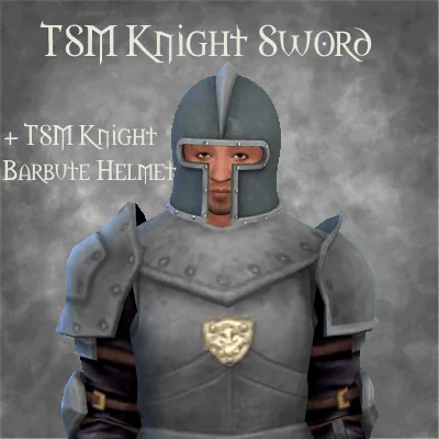 TSM Knight Sword + Barbute Helmet