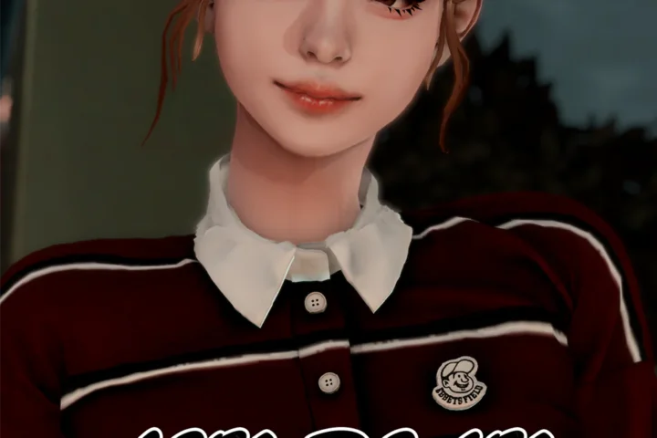 LIN-DIAN Bun Hair