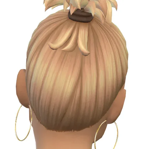 Fluffy Ponytail