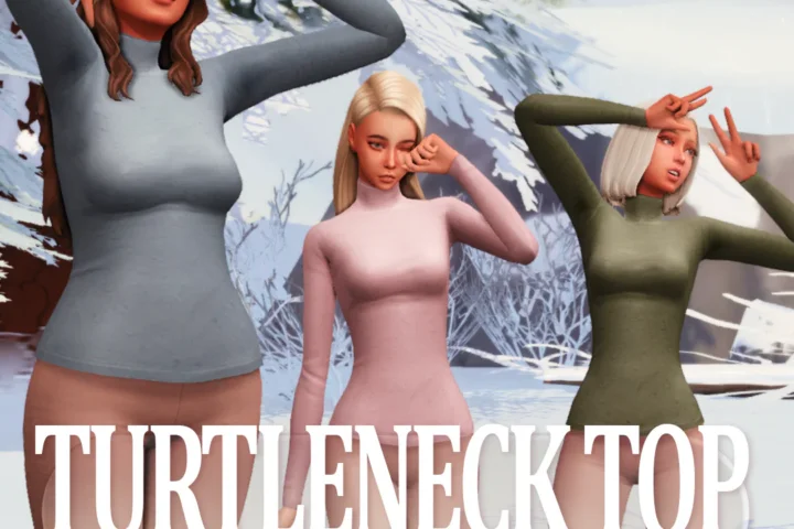 Tortleneck Top