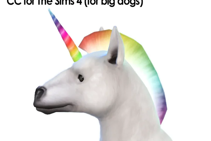 Short Mane/ Unicorn Mane