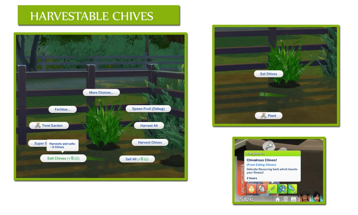 Harvestable Chives