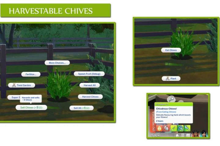 Harvestable Chives