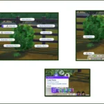 Harvestable Thyme