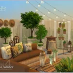 Veranda Plants 💚🏕️🌿🌲🌳