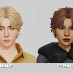 Ross Hair