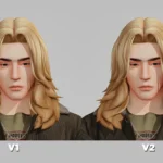 Prince Hair