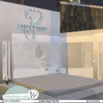 Veterinary set (2021)