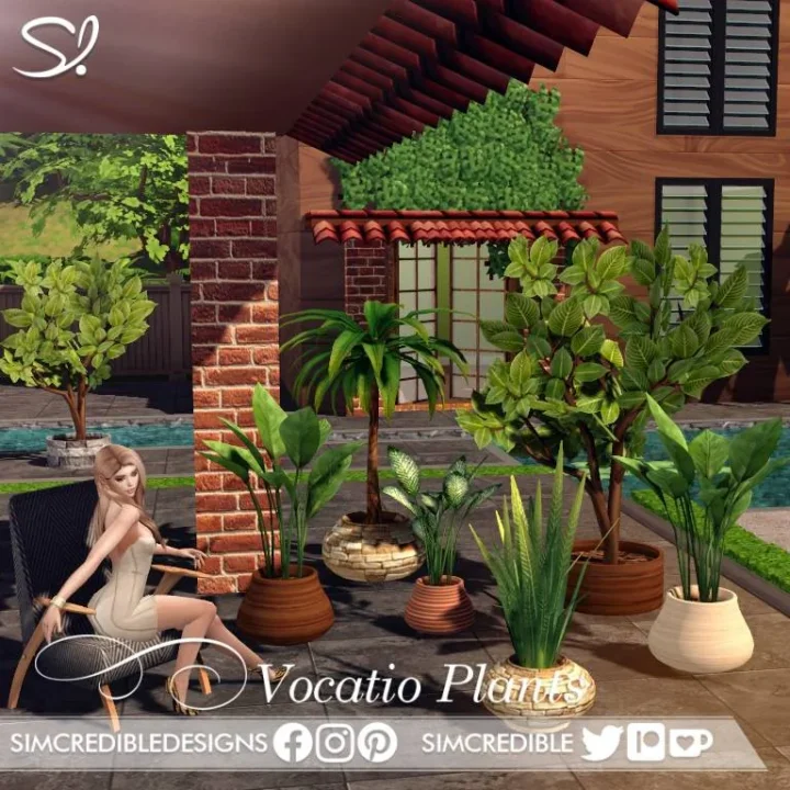 Vocatio potted tree 🌳
