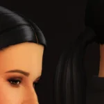 Ponytail Hair