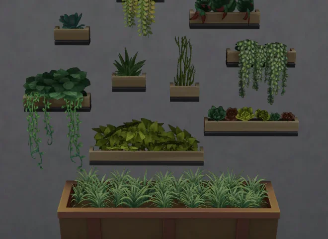 Walling in the Garden Plants