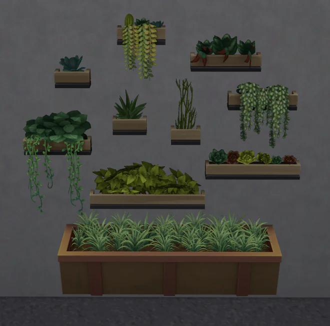 Walling in the Garden Plants