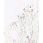 Watercolor Dried Grass SET