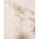 Watercolor Dried Grass SET