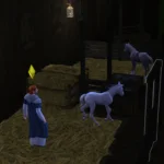 WFS Big Barn Add-Ons for Horses