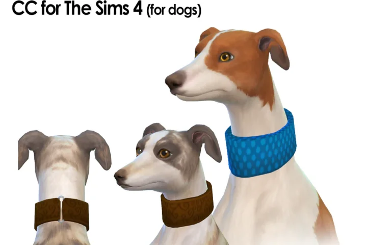 Wide Collar