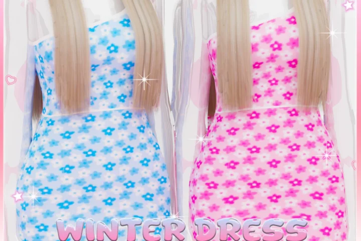 ☆ Winter Dress ☆