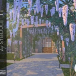 Wisteria set (2021)