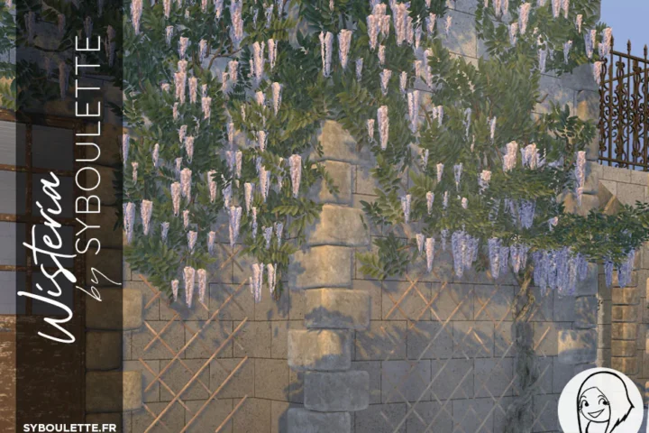 Wisteria set (2021)