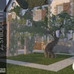 Wisteria set (2021)