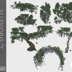 Wisteria set (2021)