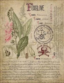 Witch plants posters
