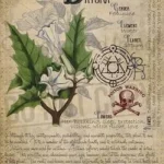 Witch plants posters