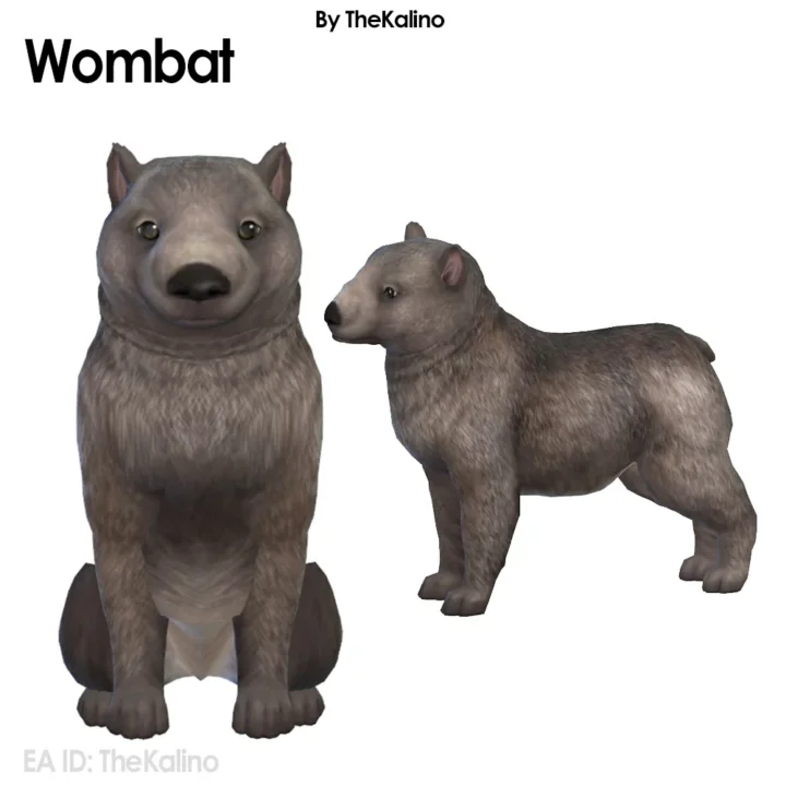 Wombat - Dog