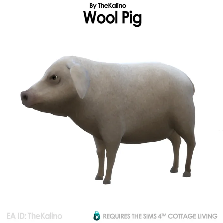 Wool Pig for the Animal Shed