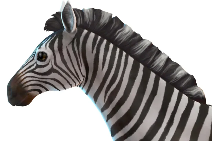 Zebra Mane