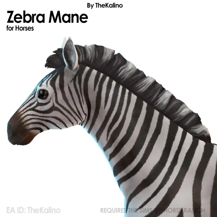 Zebra Mane
