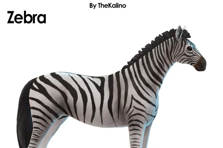Zebra
